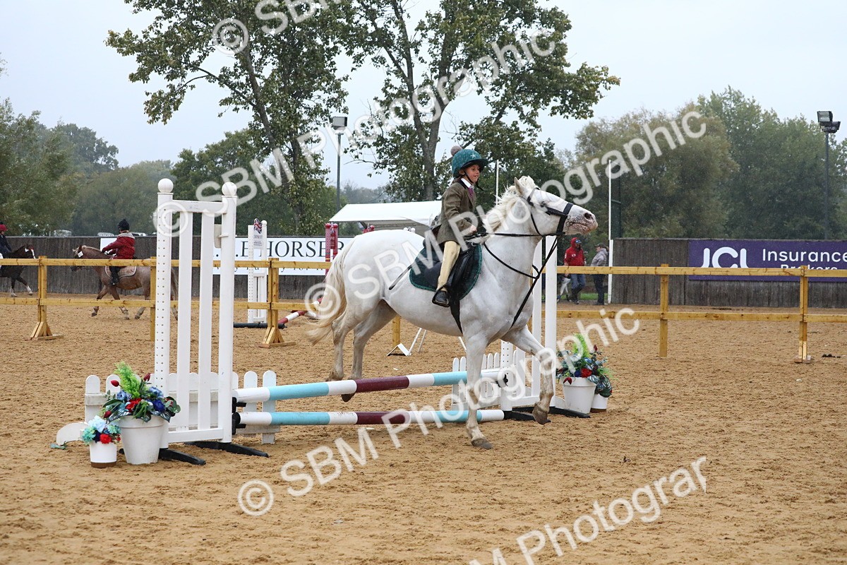 SBM_71460 - J4 - Mini Tour Junior Pony 45cm Championship