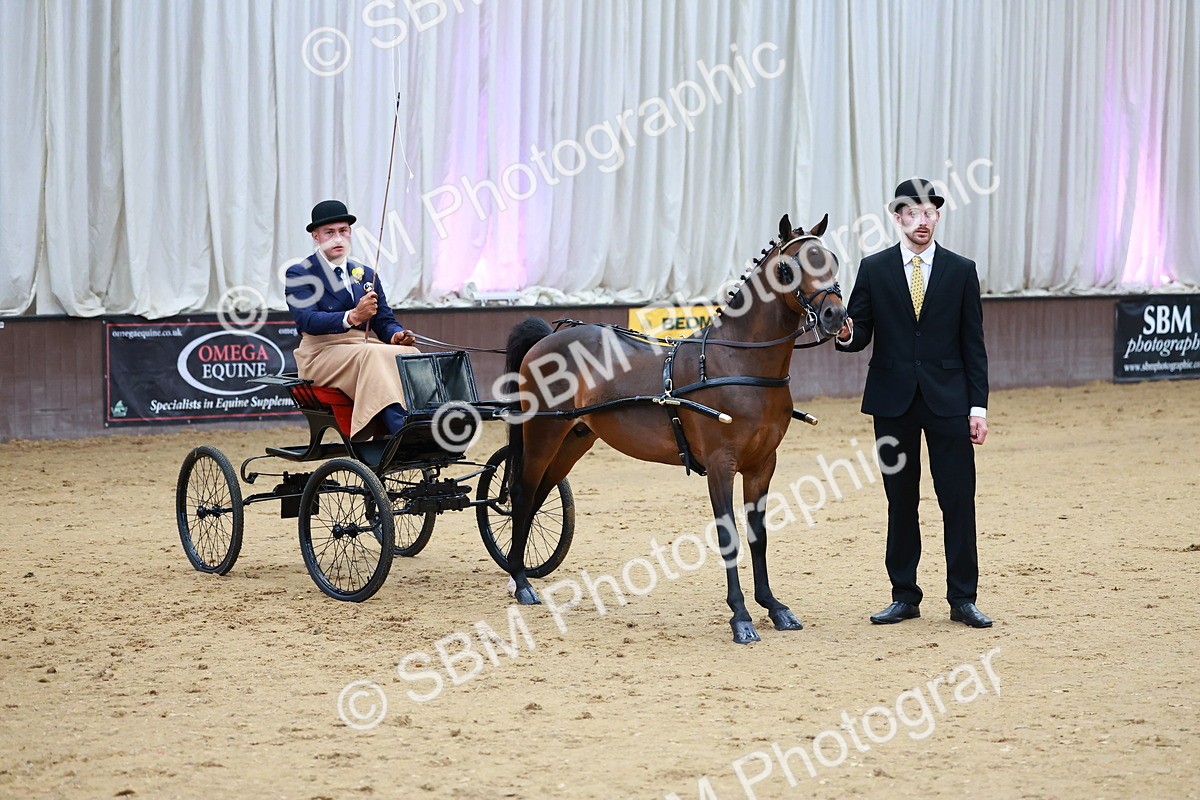 SBM_000643 - Class 9 - HHS Championship Intl Hackney Pony to a Showwagon