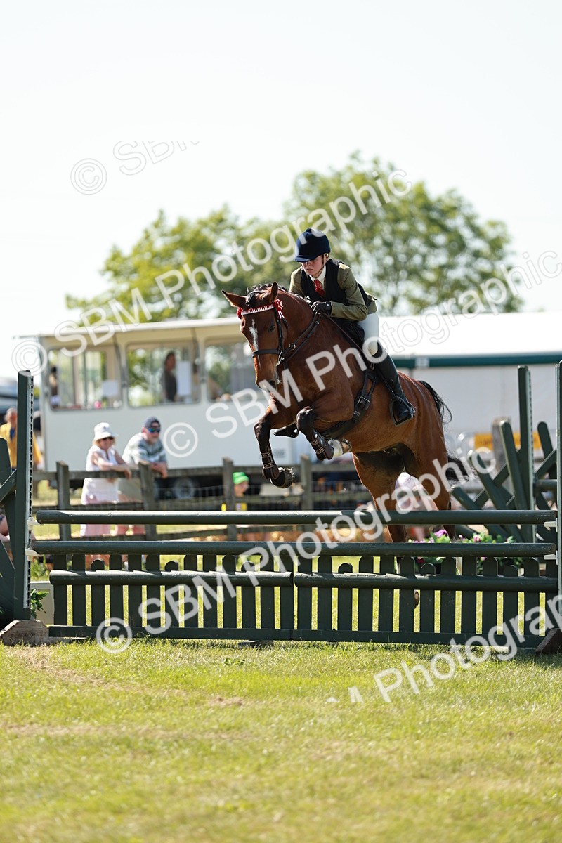 SBM_18813 - Class 114 - RIHS & SEIB Open Working Show Horse