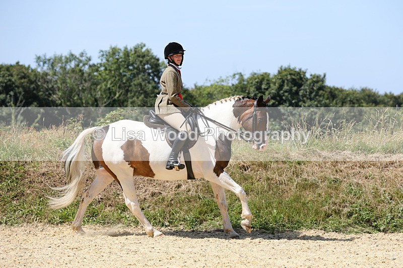 1X9A8848 - Class 19: Riding Club Horse