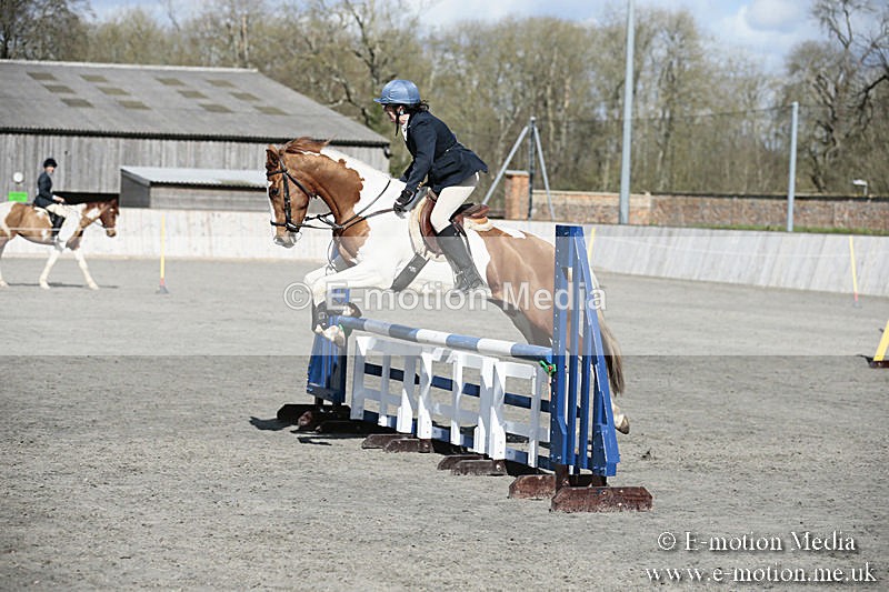 BVRC SJ 170319 546 - Bourne Valley Riding Club Showjumping 17/03/19