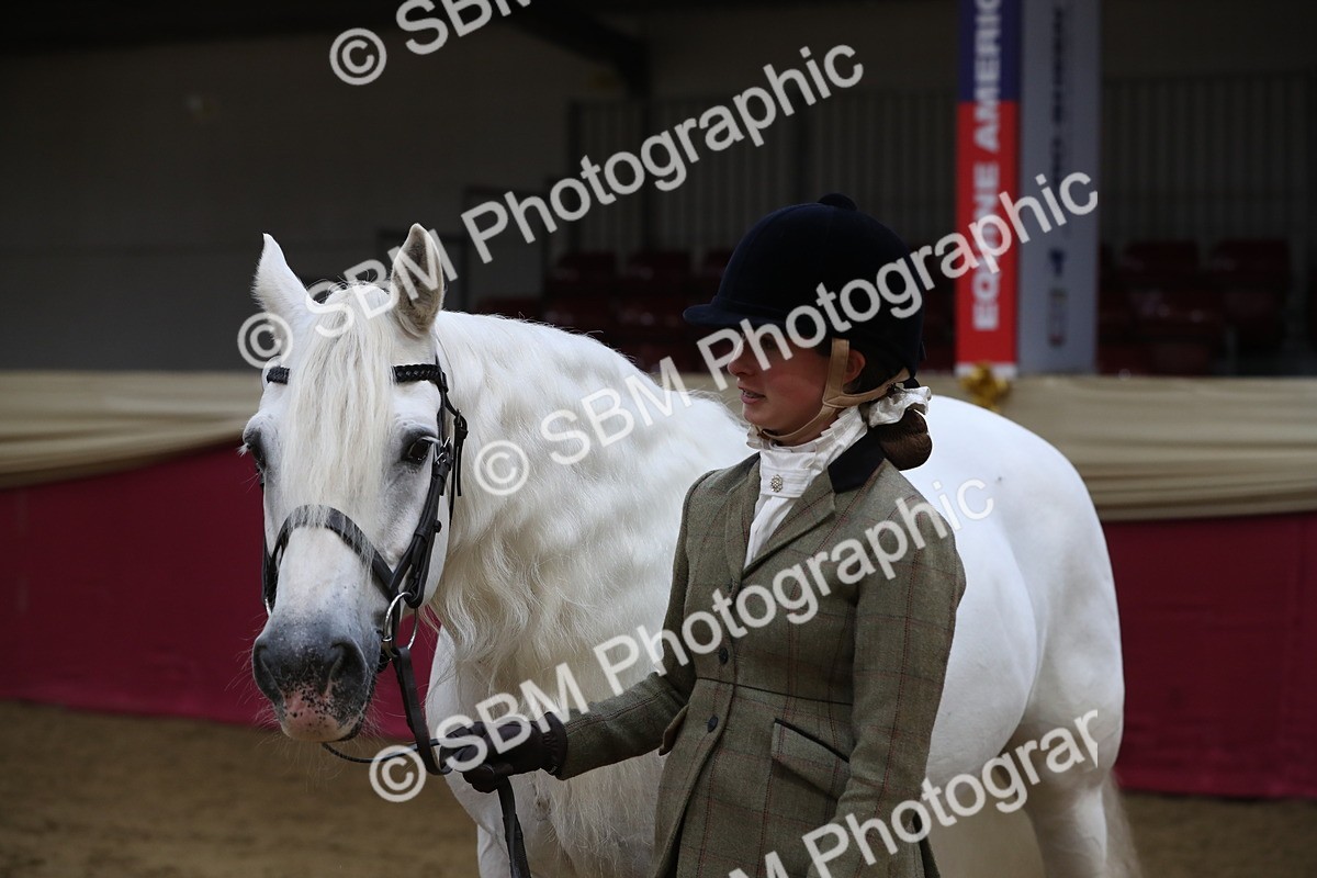 SBM_04412 - Class 7R Regional - IH Diamond