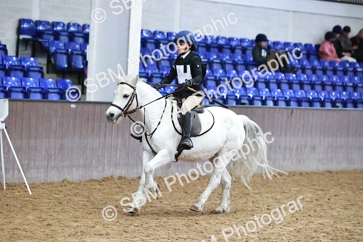 SBM_000696 - Class 2 - Show Jumping 50cm