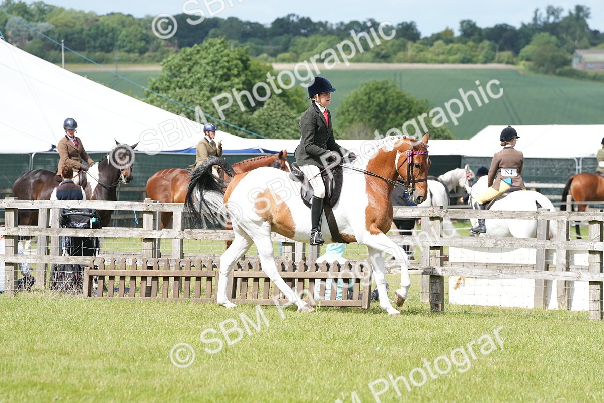 SBM_17572 - Class 107-108 - LIHS BSPS Performance Coloured Horse Pony