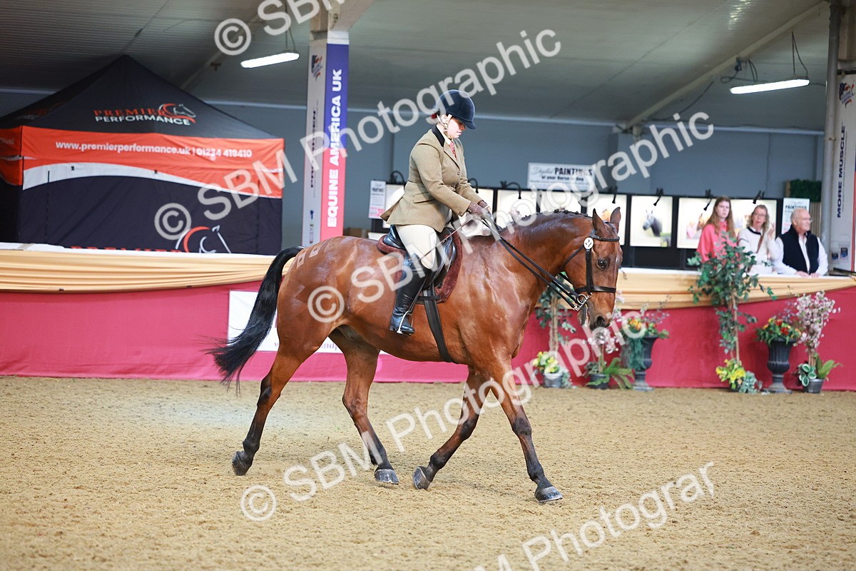 SBM_09504 - Class 102 - HOYS Veteran Qualifier - Ridden Veteran