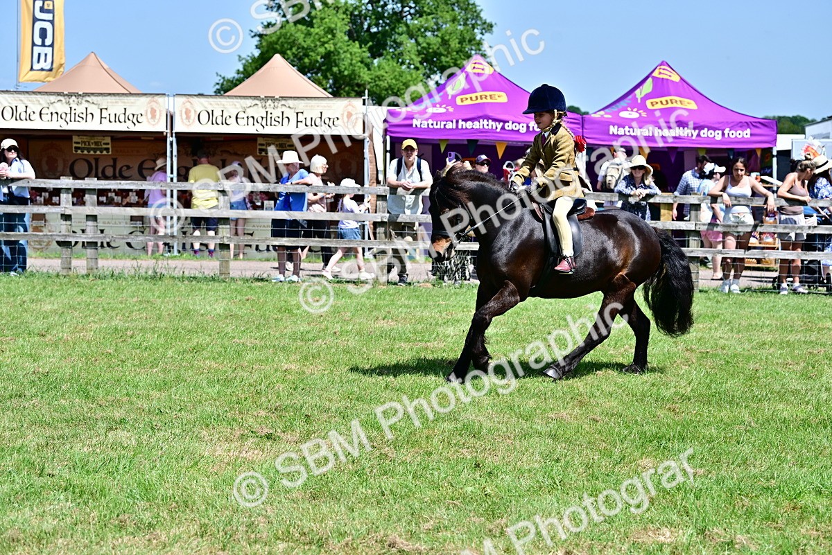SBM_06102 - Class 59-60 - TSR M&M  Lear Rein and First Ridden Amateur of the year