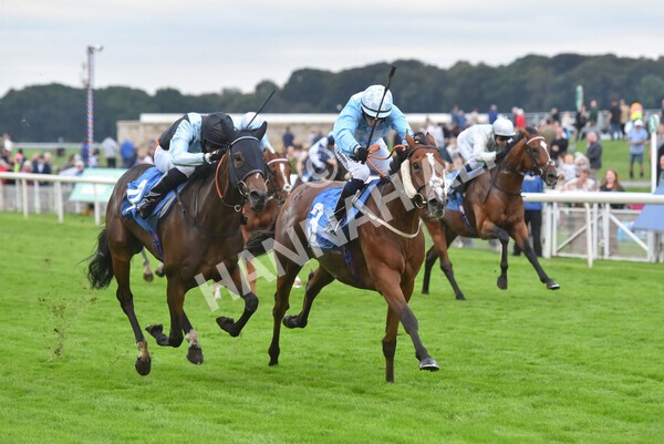 yr24092021r8-24 - Race 8 5.25pm William Hill Build Your Own Odds Apprentice Stakes