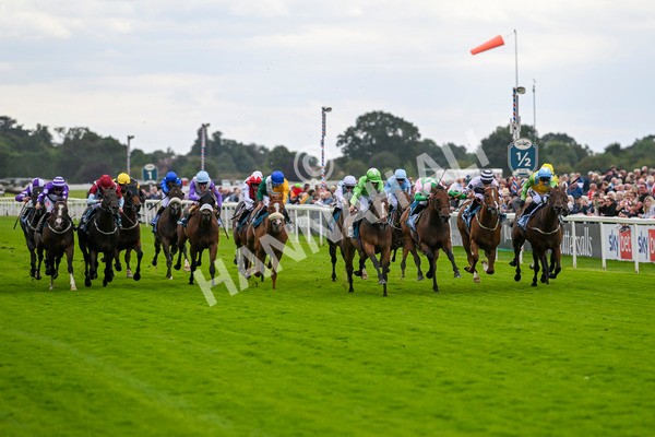 210824-Race 1-Jm Jungle-4477 - Race 1 1.50pm Symphony Group Handicap
