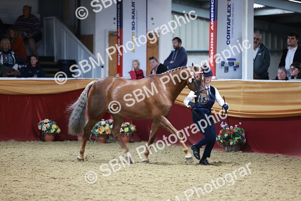 SBM_20078 - Class C - Novalty Champ