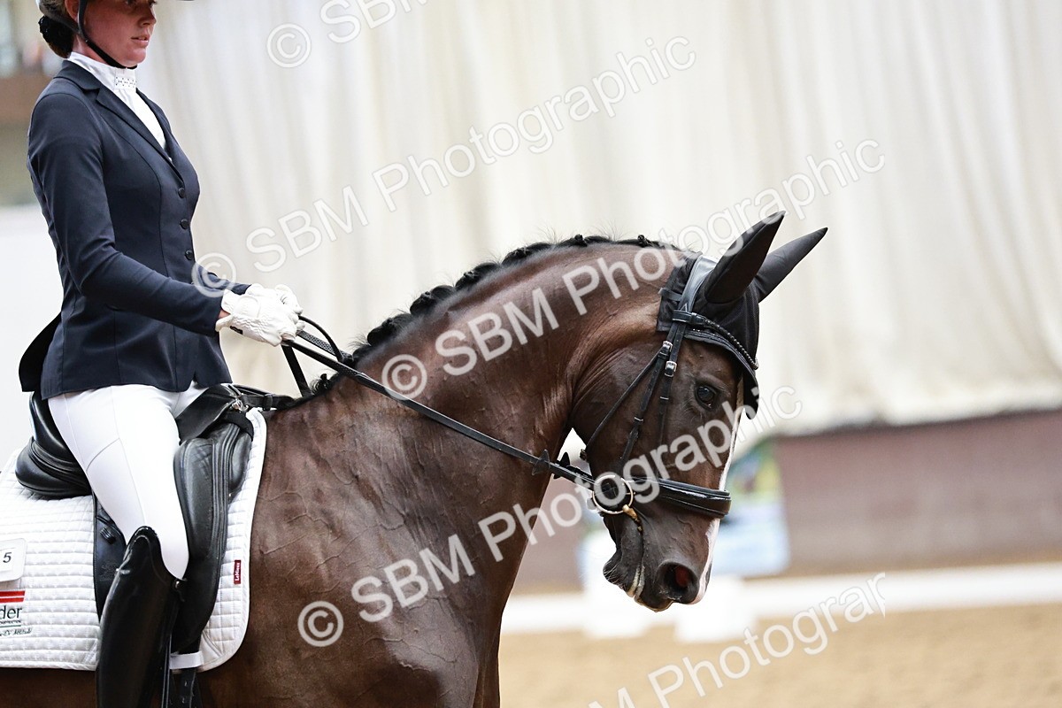 SBM_006607