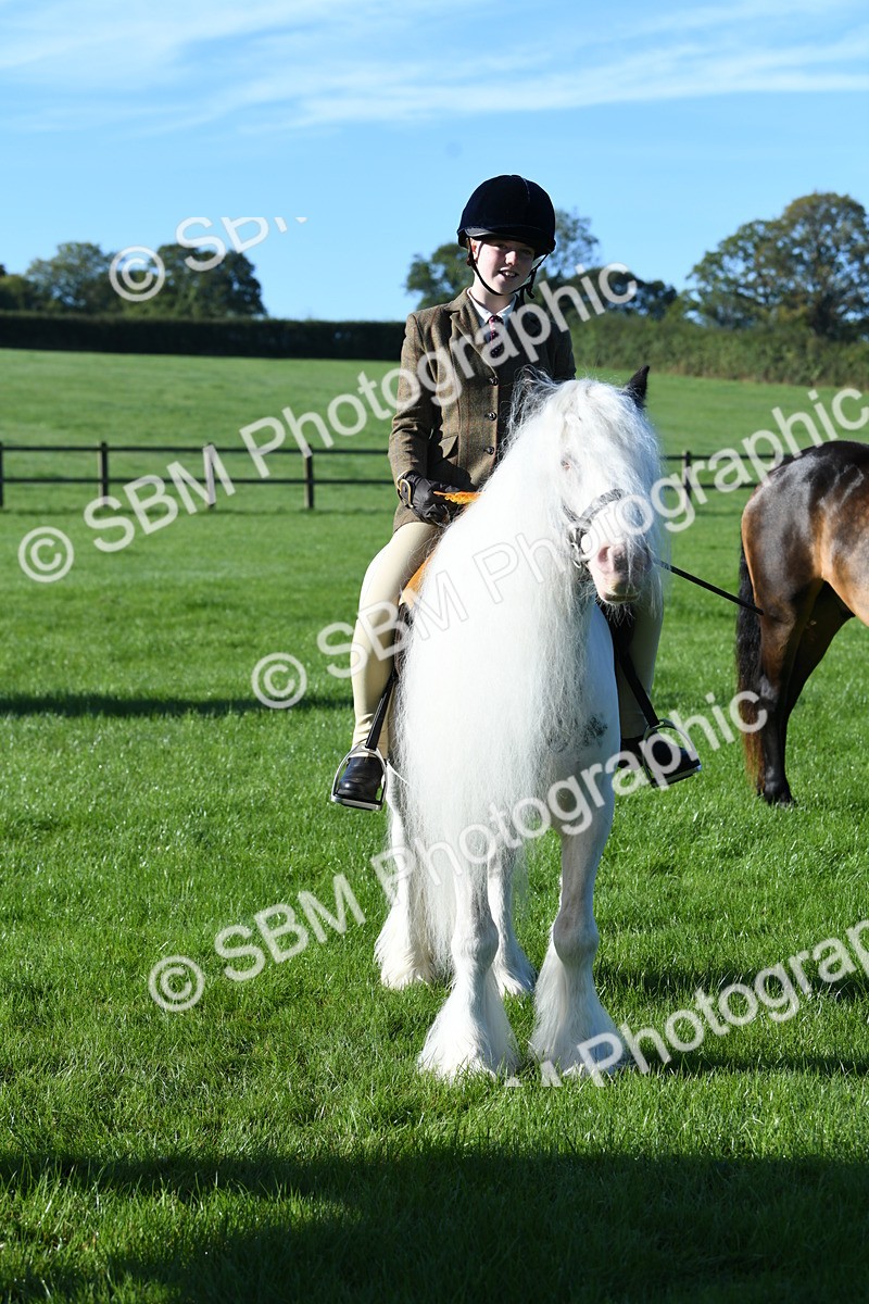 SBM_34118 - S16 - Condition & Turnout - Ridden