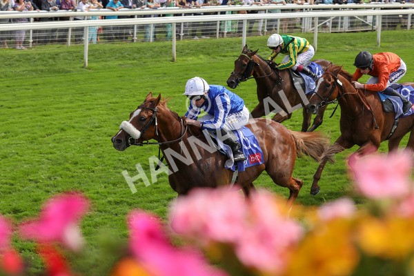 250823-Race 1-Marhaba The Champ-5759 - Race 1 1.50pm Sky Bet Handicap