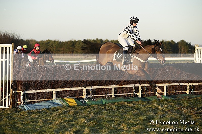 PtP 070118 -797 - Larkhill Racing Club Point to Point Larkhill 07/01/2018