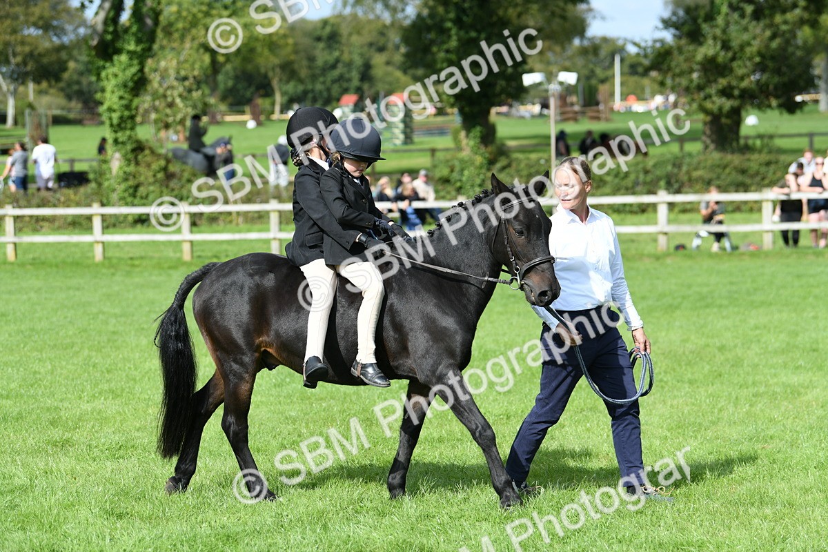 SBM_46975 - S12 - Family Horse & Pony