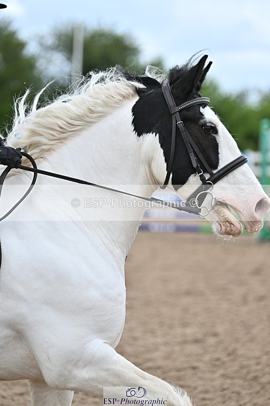 240514A-164249-00104 - 70cm