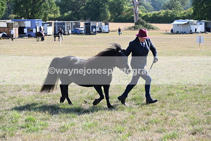 WJ6_4248 - Class 16 Condition & Turn Out