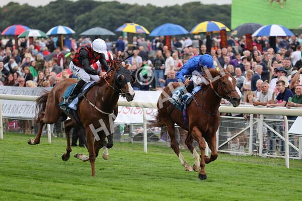 yr22072022r2-22 - Race 2 5.50pm eventmasters.co.uk Stakes