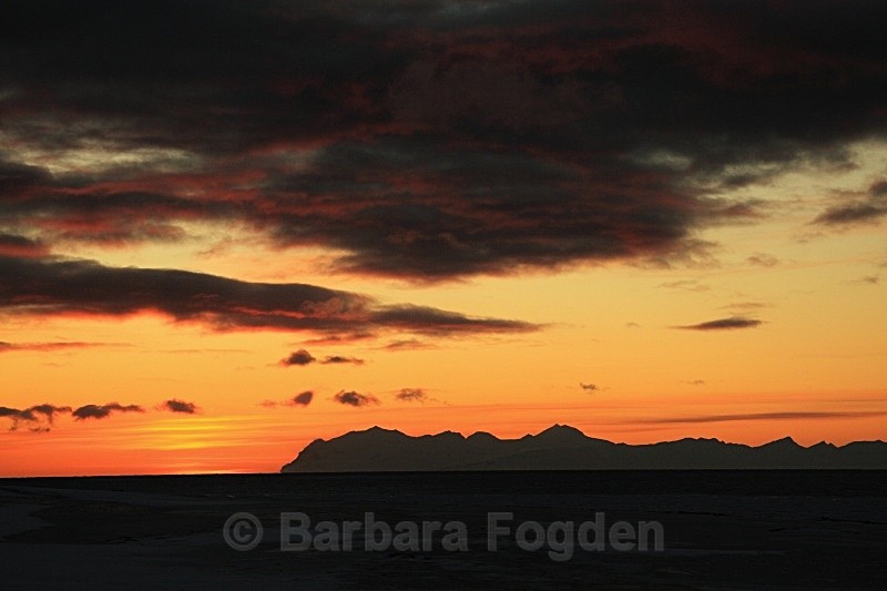 Isfjord 9584 - The daylight returns