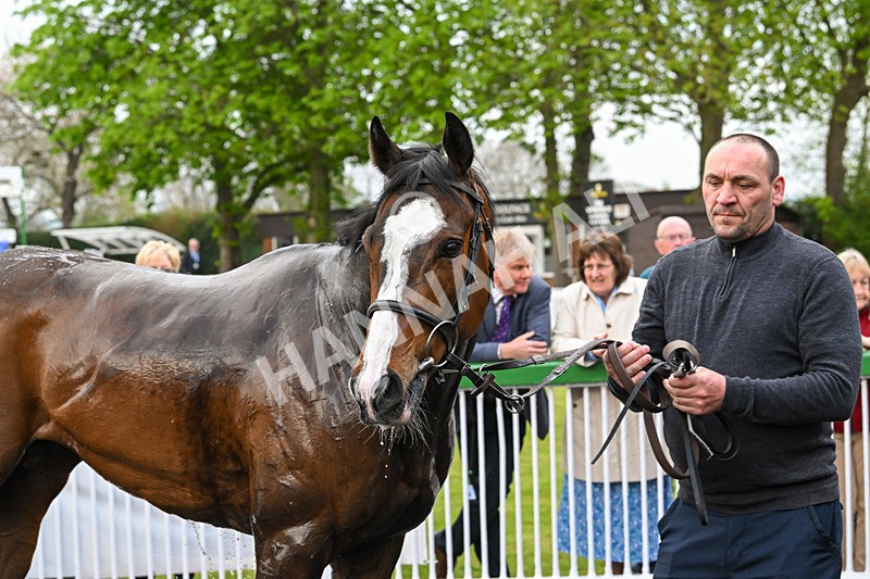 120425-Race 6-Musical Touch-1522 - Race 6