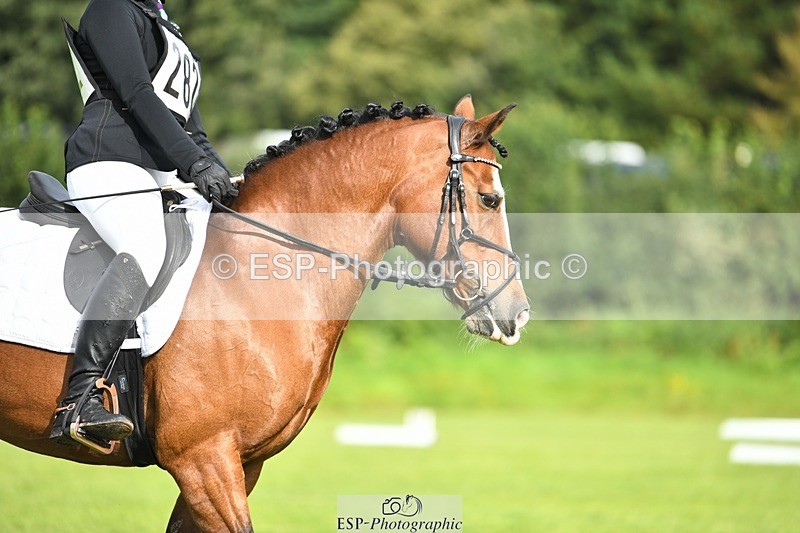 230826-094610-15226 - Sections C & D 9 to 10am