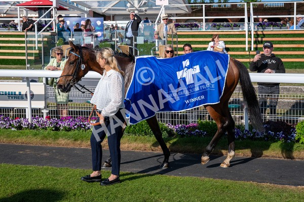 160525-Race 7-Delicacy-6674 - Race 7 5.30pm Yorkshire Equine Practice Handicap