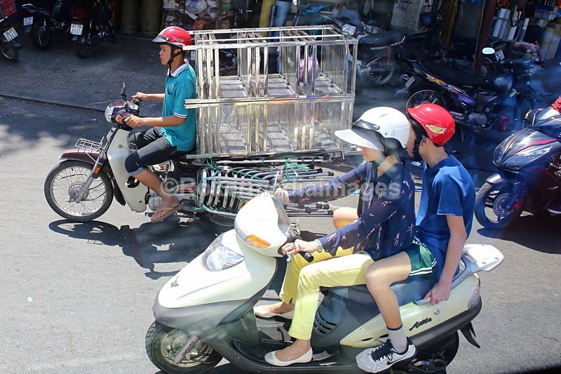 VIET_0370 - Vietnam 2017