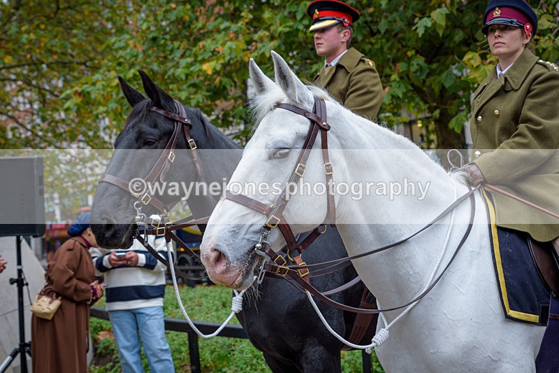 NGP_8180 - 2024 Animals in War Remembrance Gathering