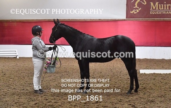 BPP_1861 - AFTERNOON 12.30 - 3.30PM