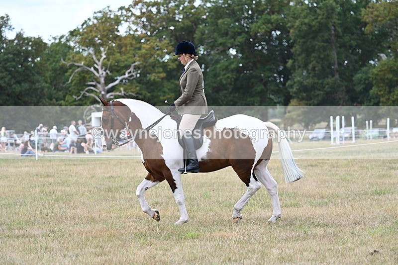 WJ7_4974 - Class 12 Ridden Cob