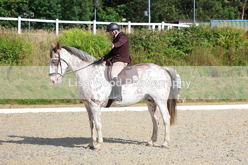 3E7A3322 - Class 2: Intro 1 2024 Section B