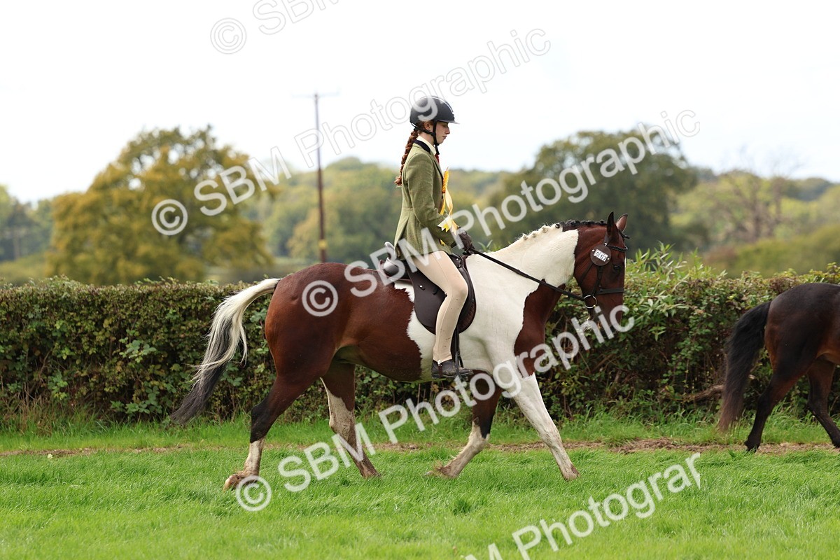 SBM_45152 - S27 - Young Veteran Ridden