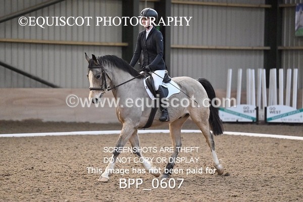 BPP_0607 - 7 - L MITCHELL