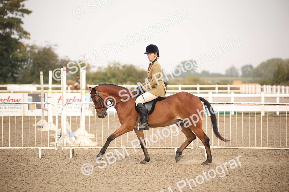 SBM_09708 - Class 401 Riding Club Pony