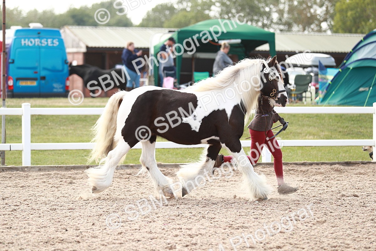 SBM_13826 - Class 209 IH Veteran Pony