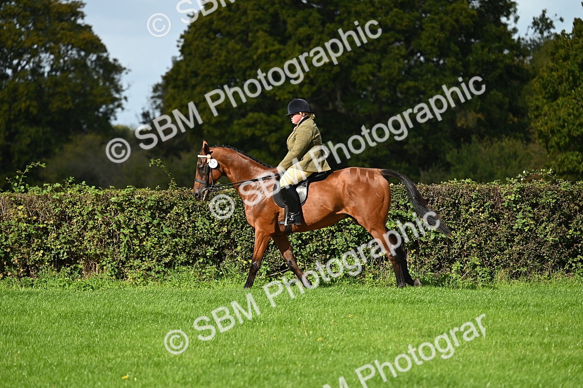 SBM_01623 - S2 - TSR Ridden Horse Showing