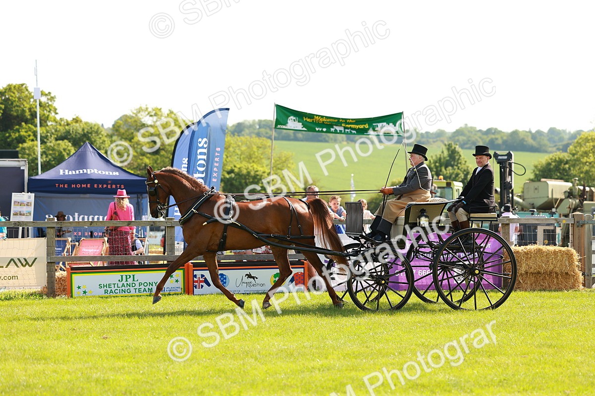 SBM_01264 - Class 2-4 - HOYS Private Driving