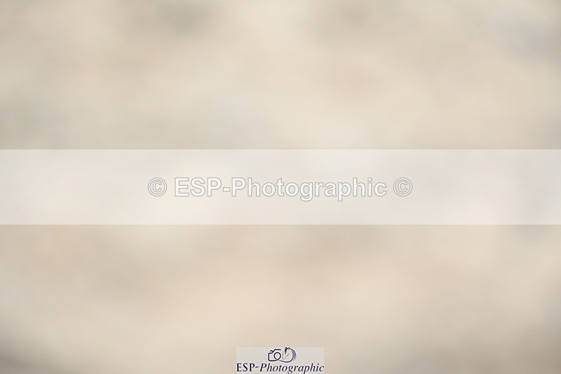 230813-152157-08188 - Cls 14 Medium Silver Start to 16.25 break