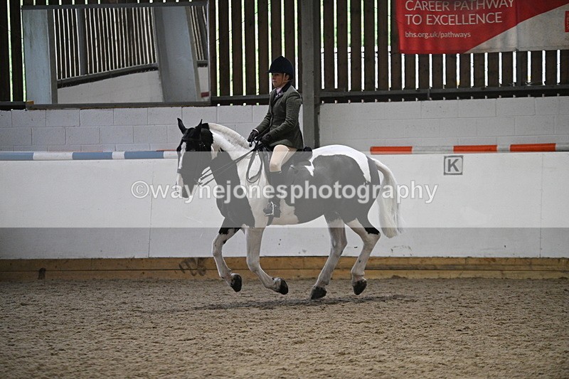 WJ7_4061 - Class 17 Ridden Cob