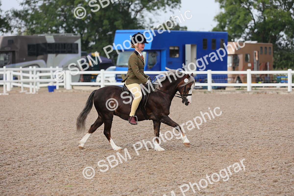 SBM_09618 - Class 301 Ridden M&M -Small Breeds