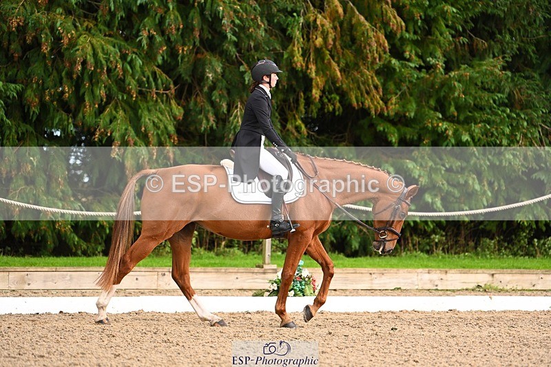 231021-161911-21091 - 265-EG.TIGER.CHILLI-Tayla.Mason-DR