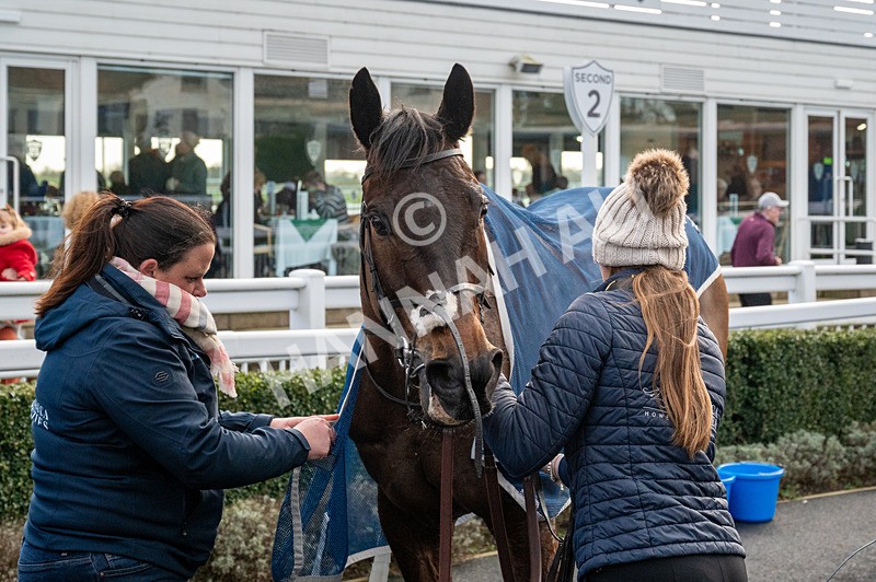 270224-Race 5-Twoshotsoftequila-6522 - Race 5