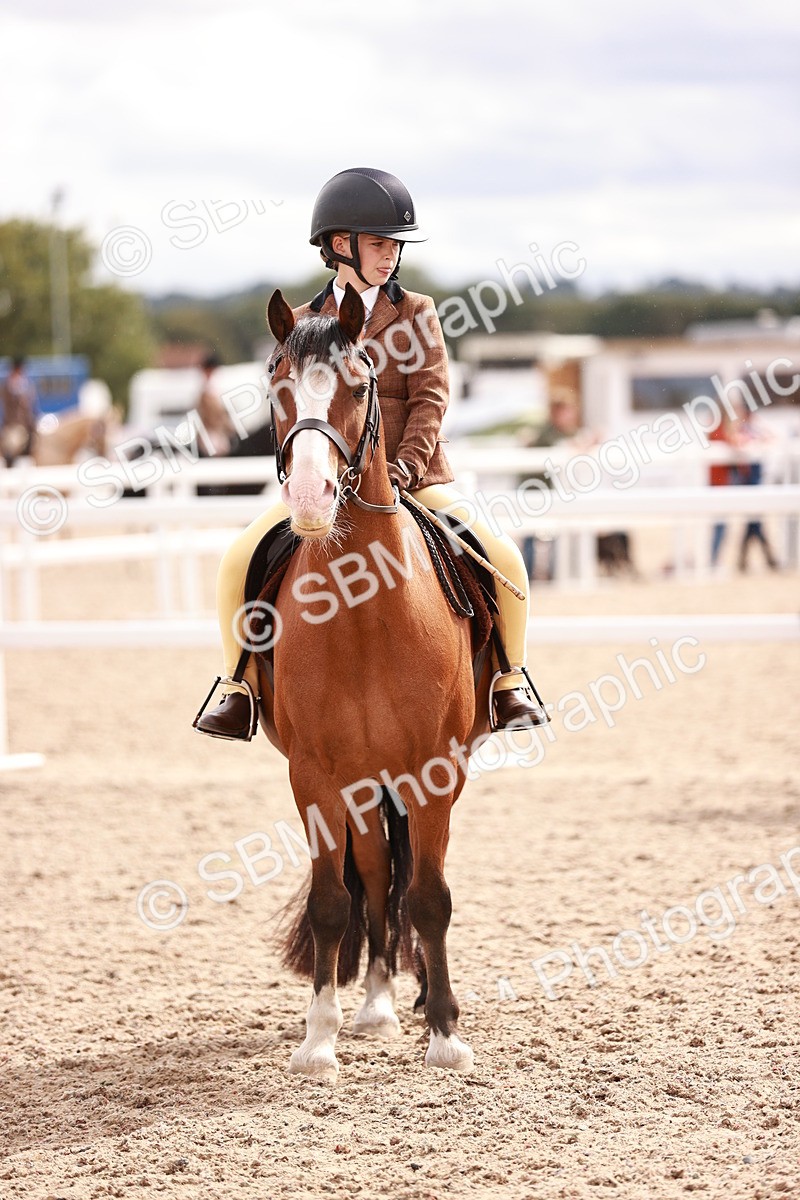 SBM_18381 - Class 418 - Best Condition - Jnr