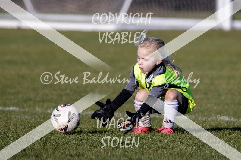 1DX31563 - 2026-01-17 FC Abbey Meads U9 Purple Girls V Develop FC U9 Girls