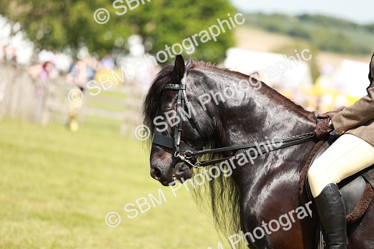 SBM_07114 - Class 26-30 - Mountain and Moorland Ridden