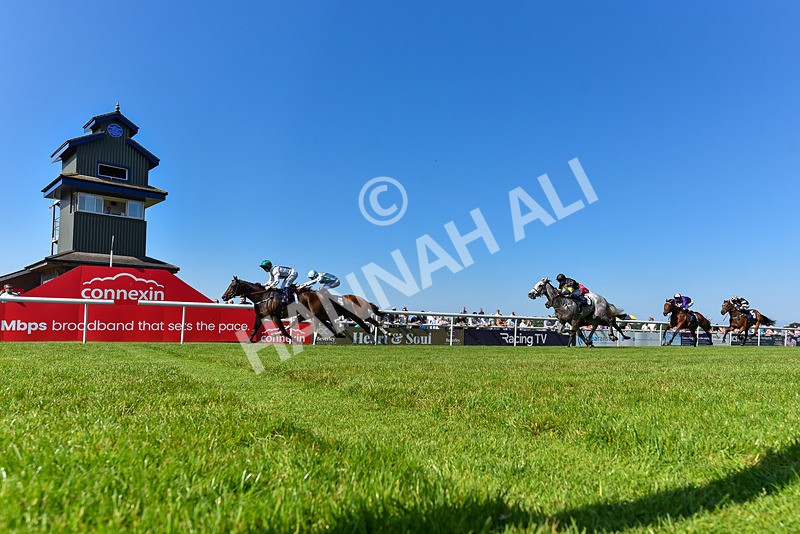 250624-Race 6-Cockalorum-9434 - Race 6