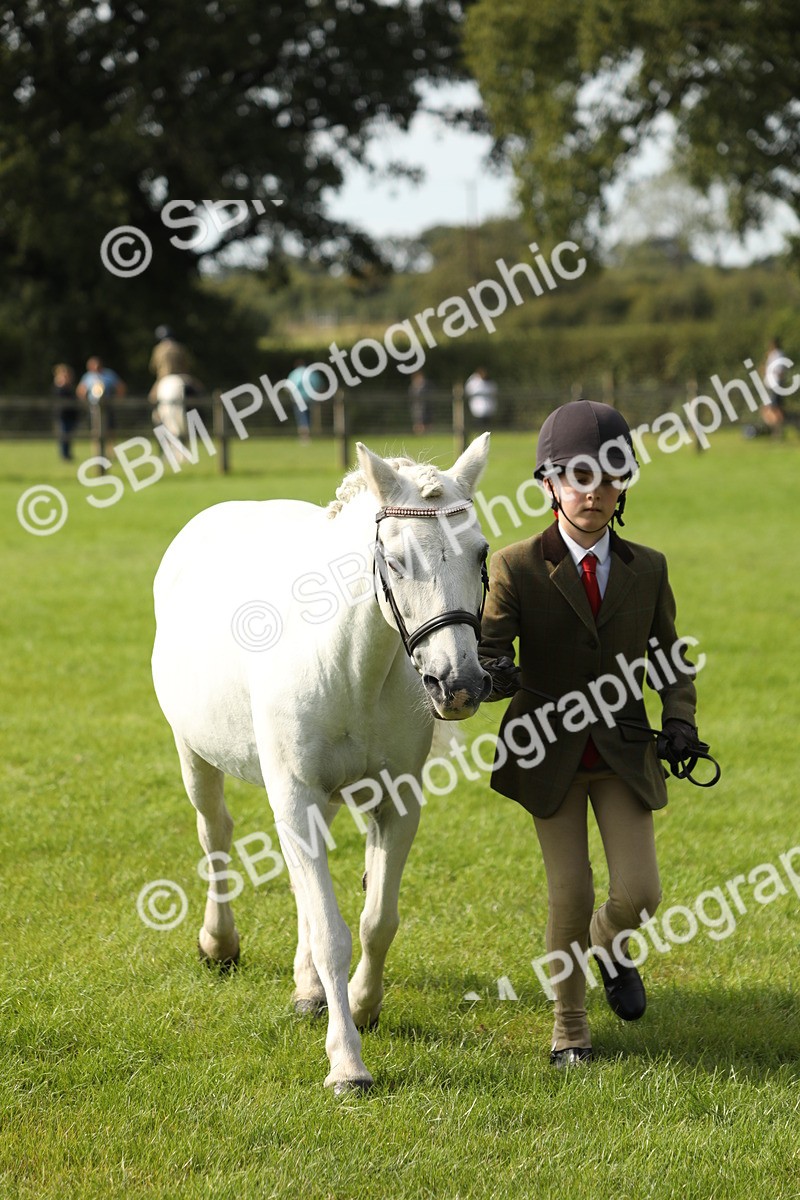 SBM_68646 - S40 - Junior Handler 9-12 Years