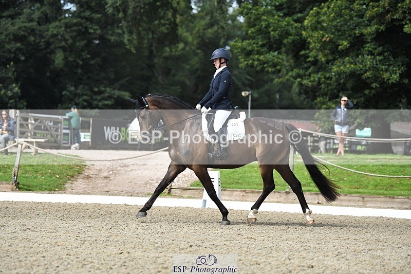 230812-104407-03455 - Cls 6 Novice Silver 10.30 to 11.55 break