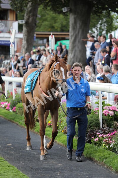 yr19082022r7-1 - Race 7 5.20pm Sky Bet Mile Stakes