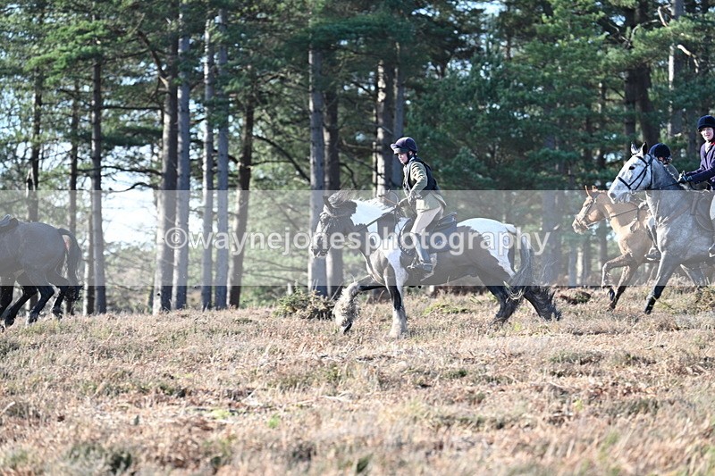 WJ7_7081 - Line 3 (no line 4 or 5)