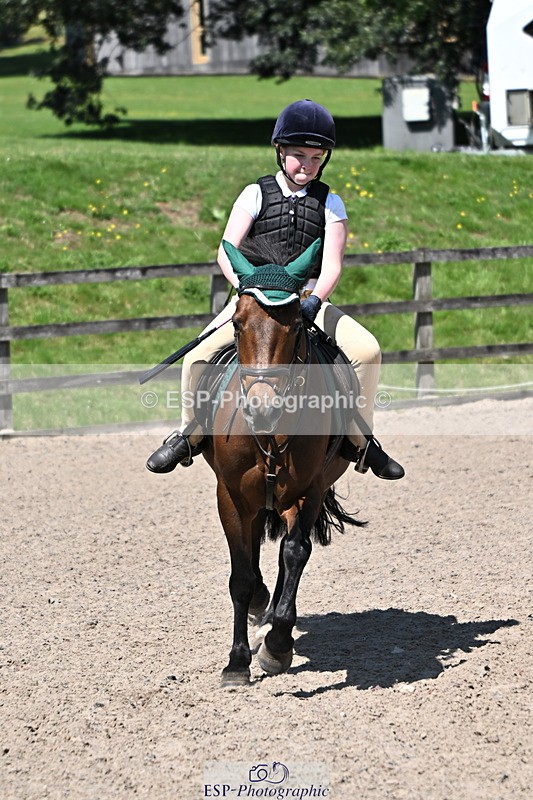 240729B-122613-02662 - Showjumping Competition